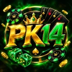 PK14 Game Logo