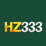 HZ333 GAME LOGO